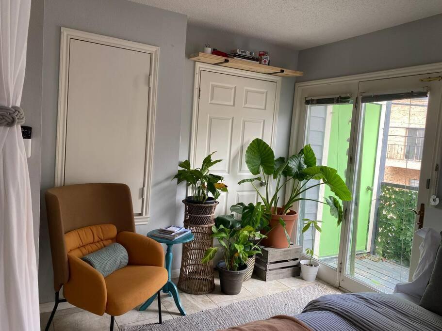 Luxury Greenhouse Studio Appartement Austin Buitenkant foto
